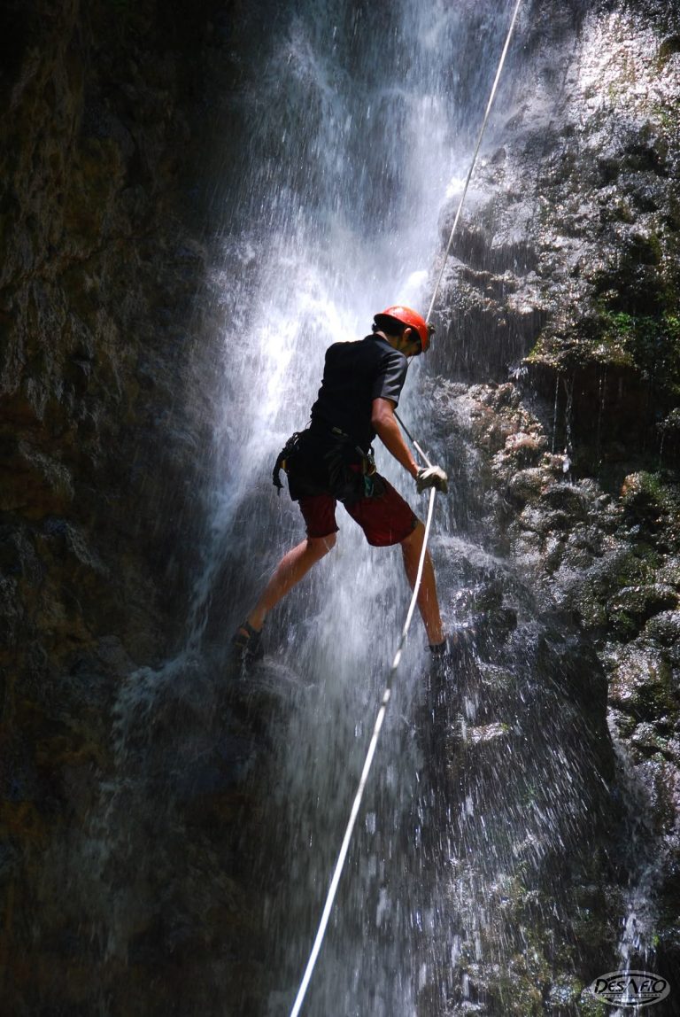 1ea2e69514a48d7bbd1ea958dbc57d04